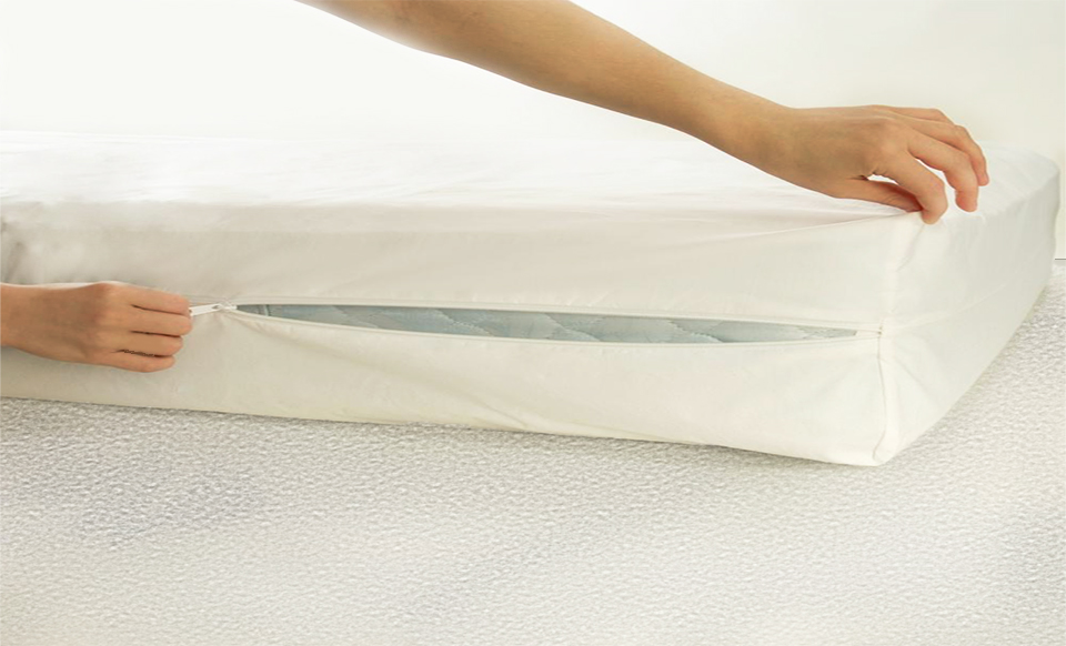 best bed bug mattress protector