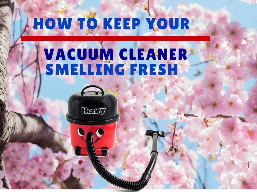 How To Keep Your Vacuum Cleaner Smelling Fresh Smart Vac Guide