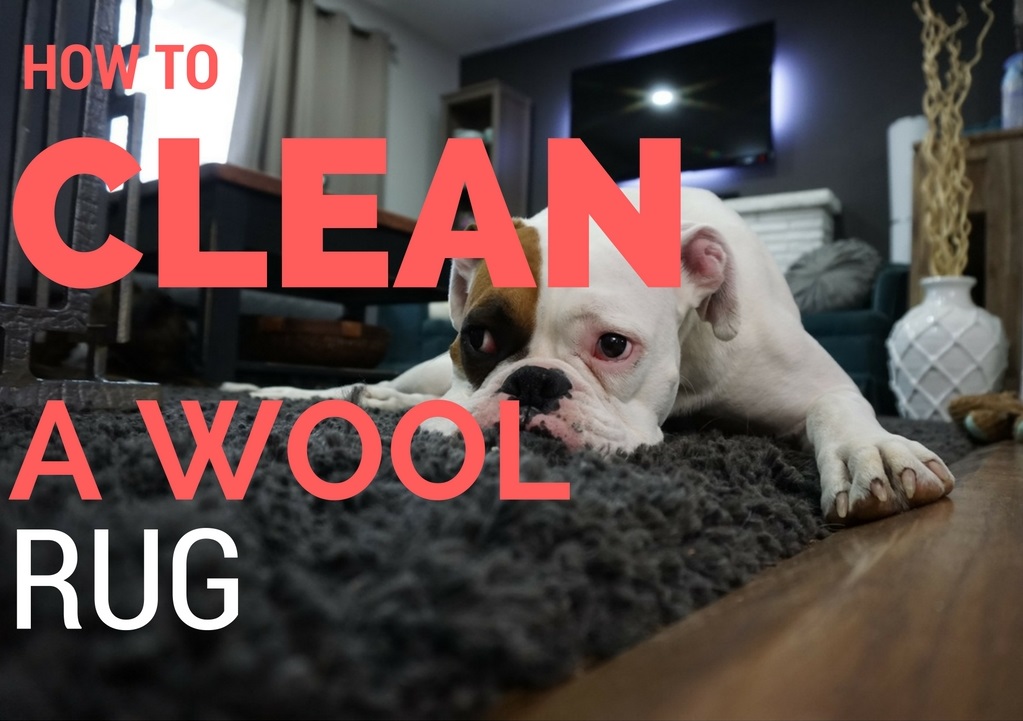 how-to-clean-a-wool-rug