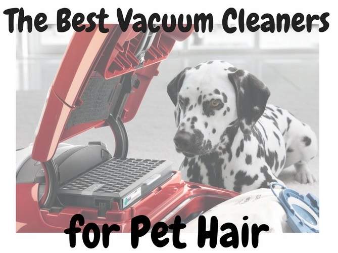 The Best Vacuum Cleaner For Pet Hair Smart Vac Guide