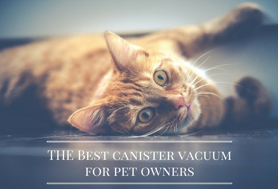 Best Multi floor Bagless Canister Vacuum Cleaner for Pet Owners Smart