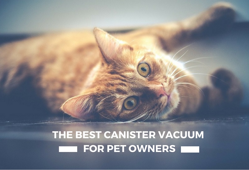 the best canister vacuum for pet owners