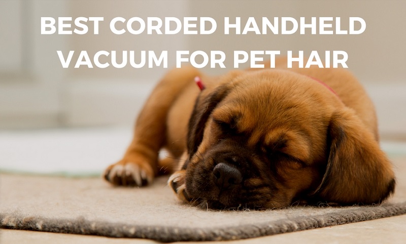 the best corded handheld vacuum cleaner for pet hair