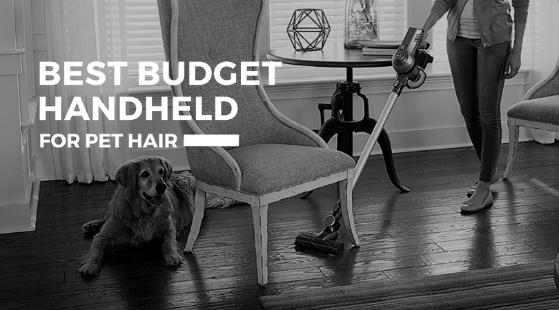 Best-Budget-Handheld-for-Pet-Hair