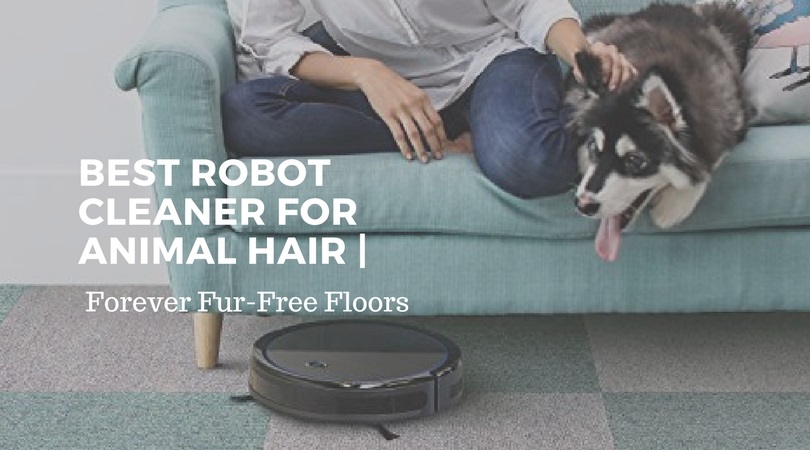 What Is The Best Robot Vacuum Cleaner For Animal Hair