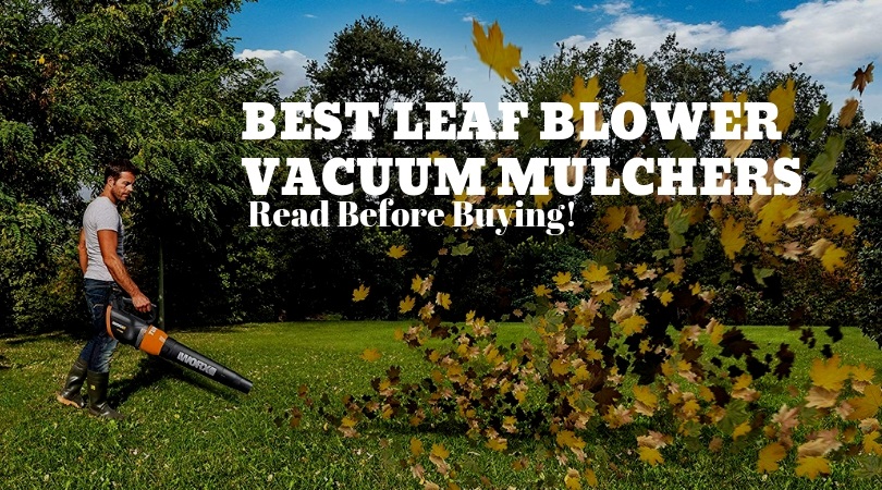 Best Cordless Leaf Vacuums