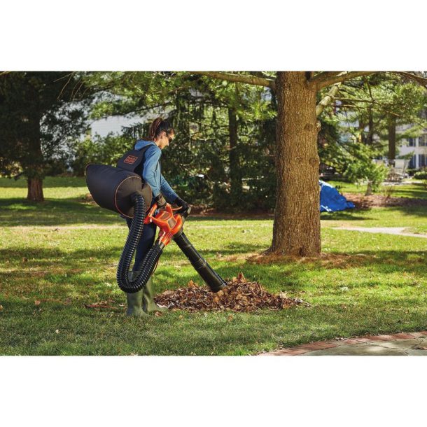 Best Leaf Blower Vacuum Mulcher for 2021. How To Buy The Best One