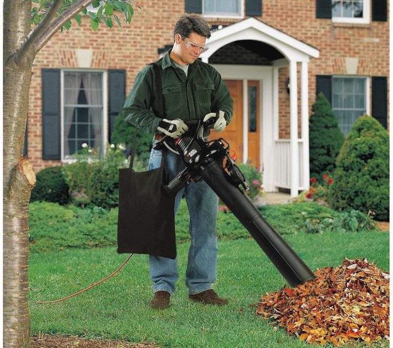 Best Leaf Blower Vacuum Mulcher for 2021. How To Buy The Best One