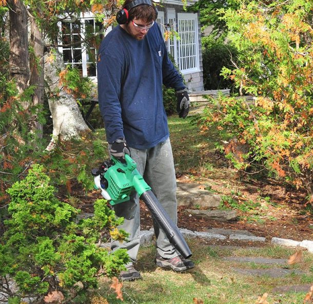 does a leaf blower work on pine needles