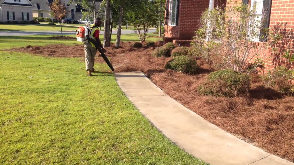 The-Best-Leaf-Blower-for-Pine-Needles