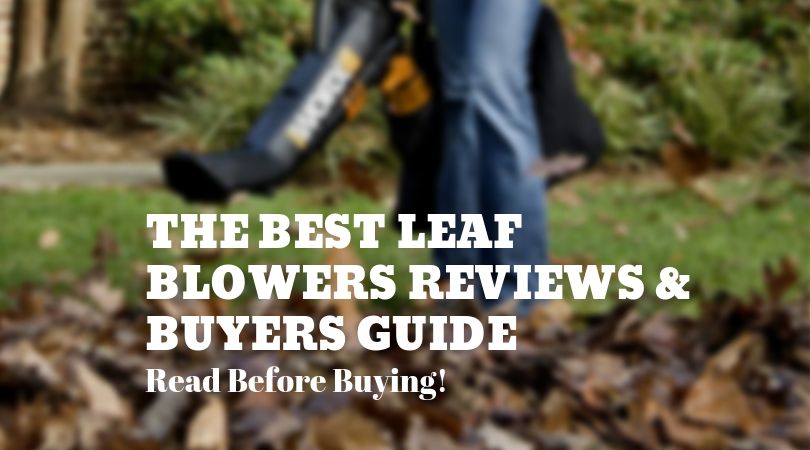 The-Best-Leaf-Blowers-Reviews-and-Buyers-Guide