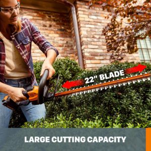 Best-Cordless-Hedge-Trimmers-for-Large-Hedges-2020
