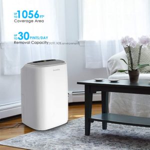 top-best-commercial-dehumidifiers