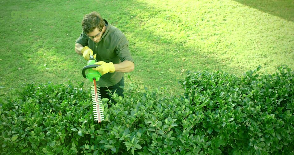 greenworks hedge trimmer 40v