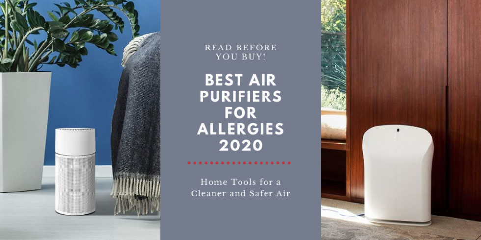 Best Air Purifiers For Allergies 2021 | Home Tools For A Cleaner And ...