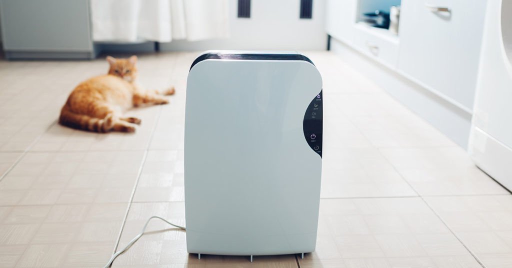top-air-purifiers-for-allergies