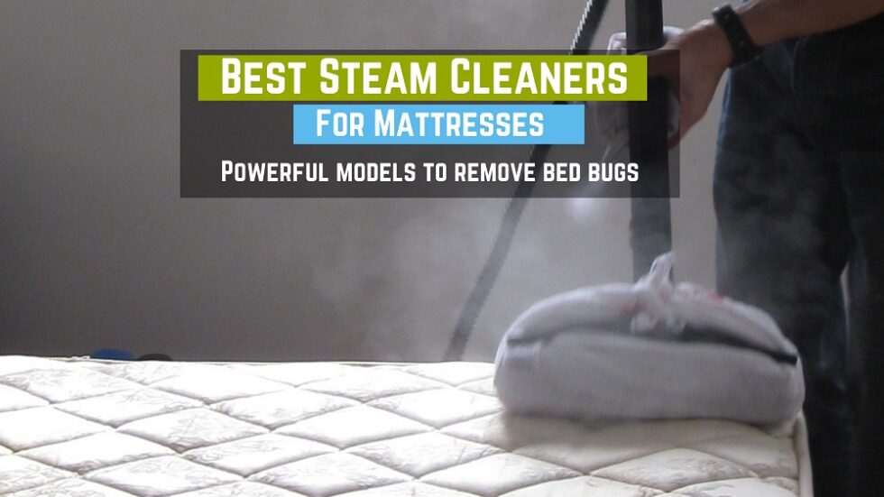 Best Steam Cleaners For Mattresses 2021Powerful Models For Bed Bugs