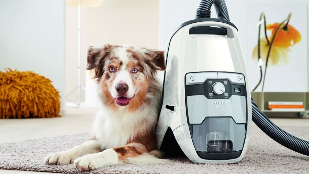 Miele-Blizzard-CX1-with-a-pet-dog