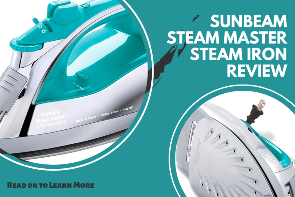 killing bed bugs with steam iron