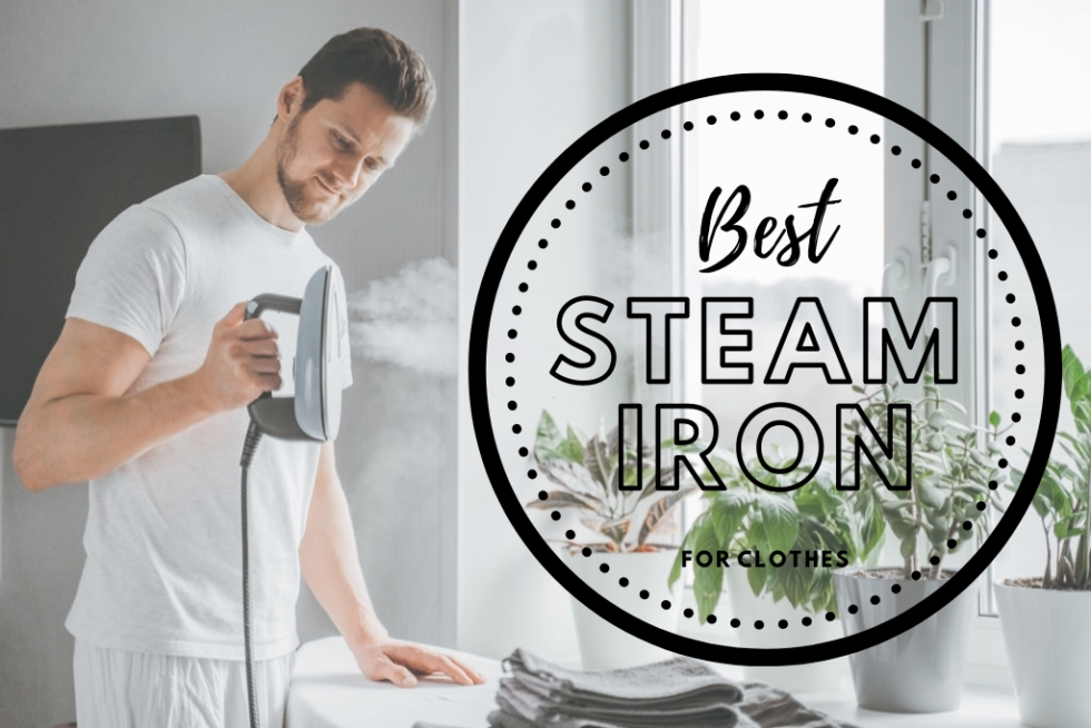 killing bed bugs with steam iron