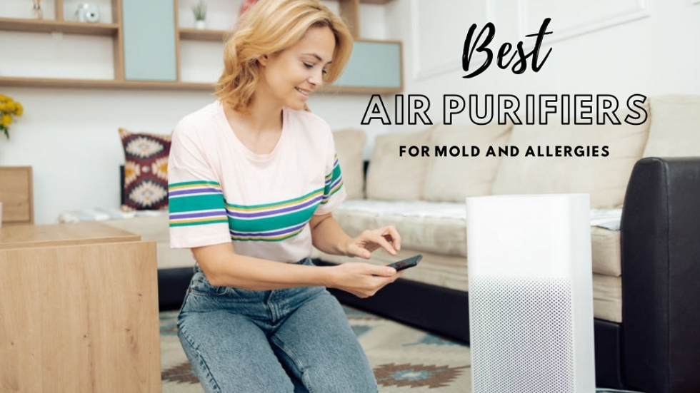 Best Air Purifiers For Mold in 2021 Breath Safely With These Amazing