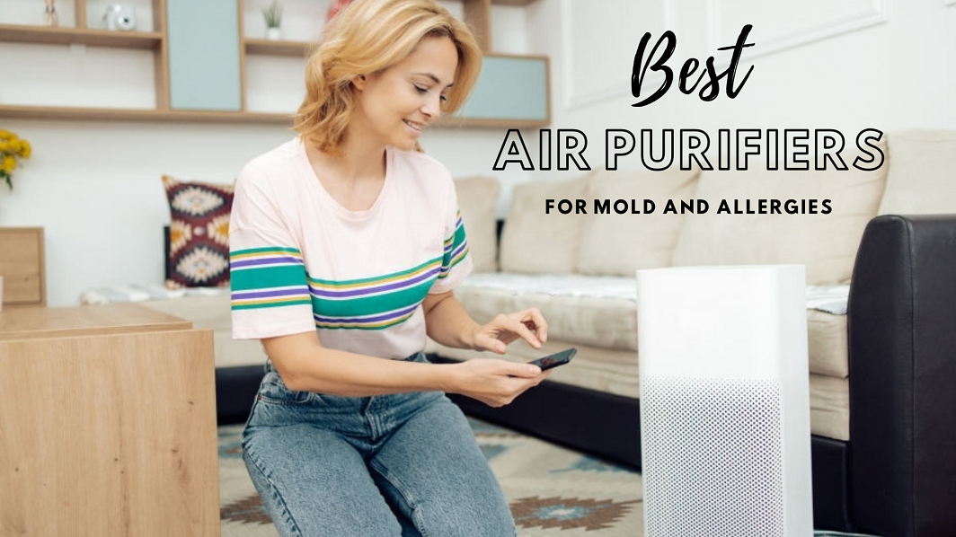 Best-Air-Purifiers-For-Mold-in-2021