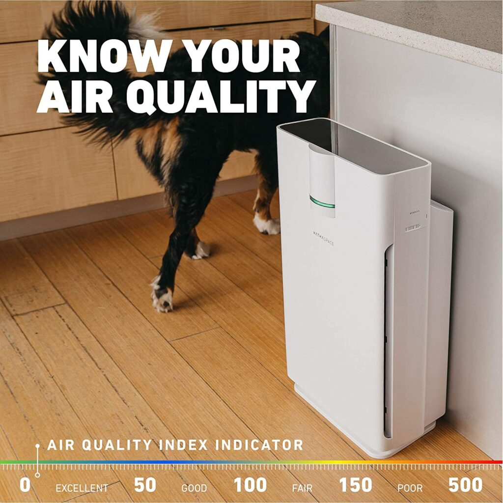 hathaspace-smart-true-hepa-air-purifier-quality