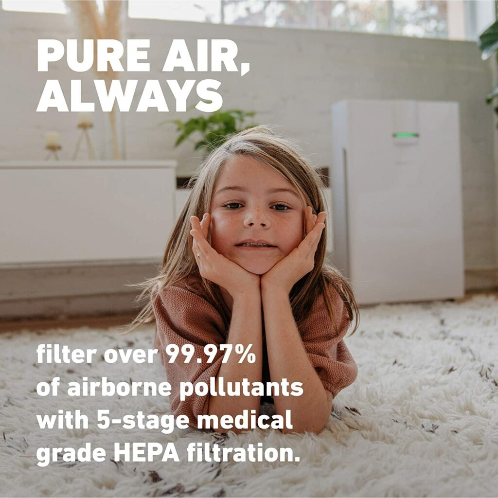 why-we-need-air-purifiers