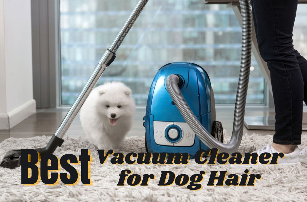 best-vacuum-for-dog-hair