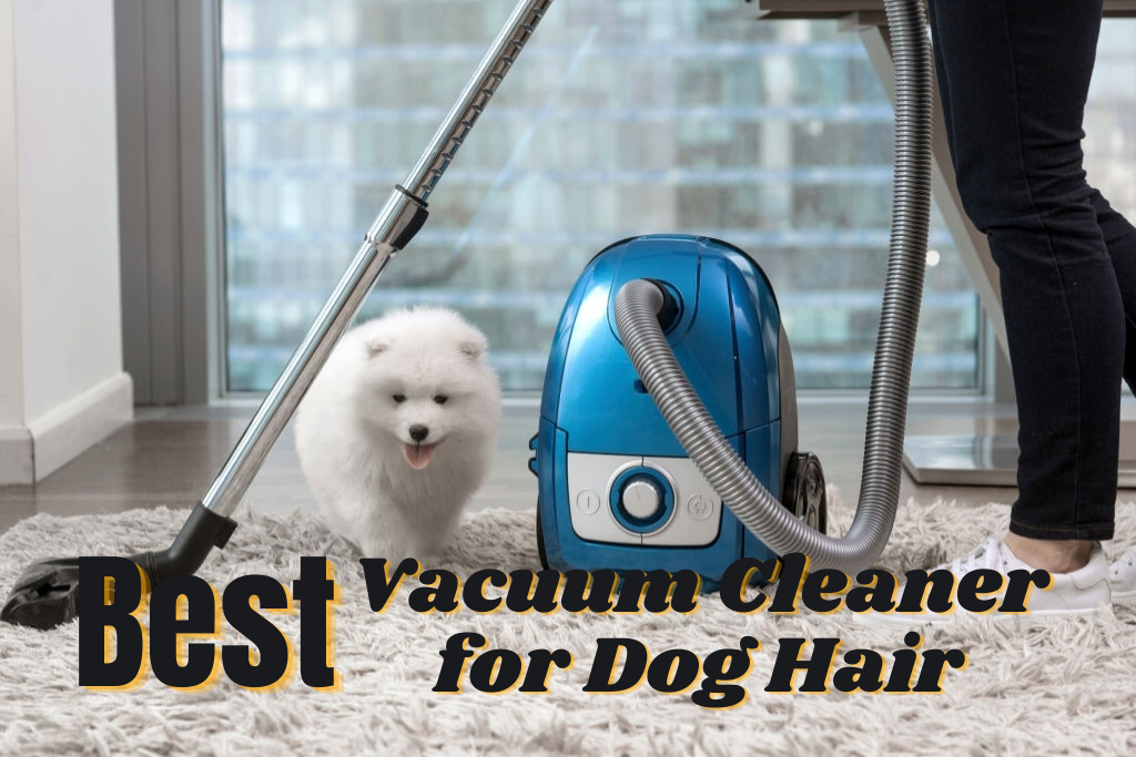 Best Vacuum Cleaners for Dog Hair 2021 to Tackle Pet Hair and Dirt