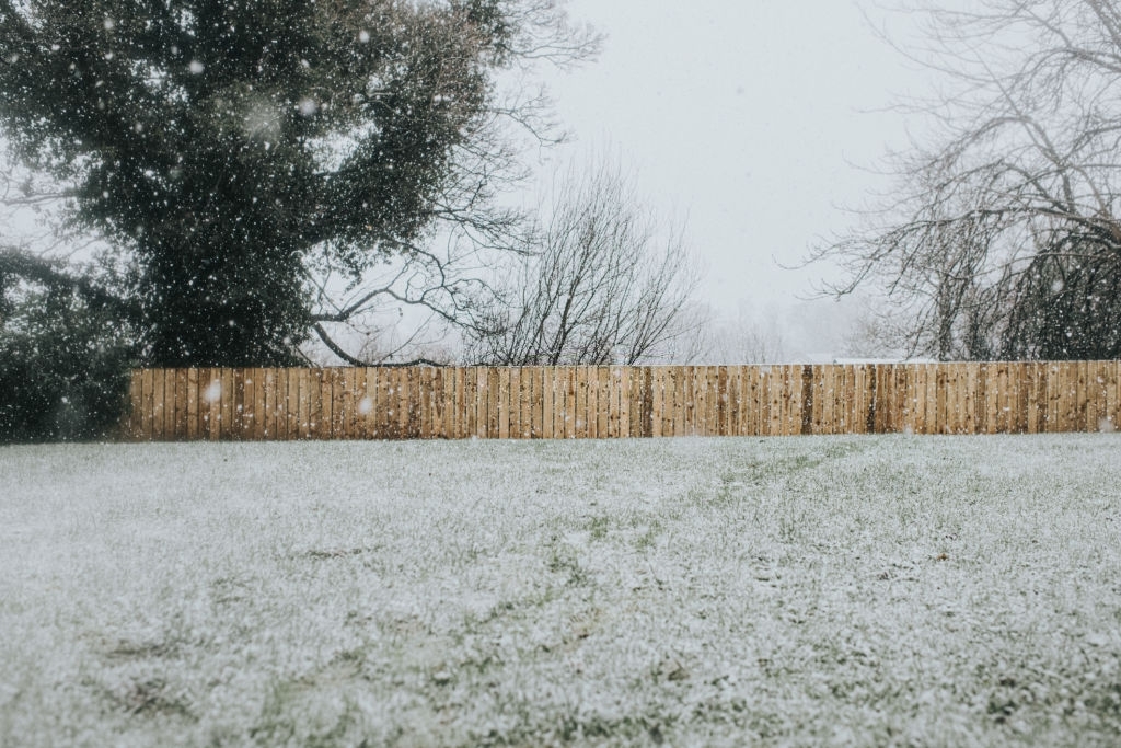 A-domestic-garden-in-the-snow