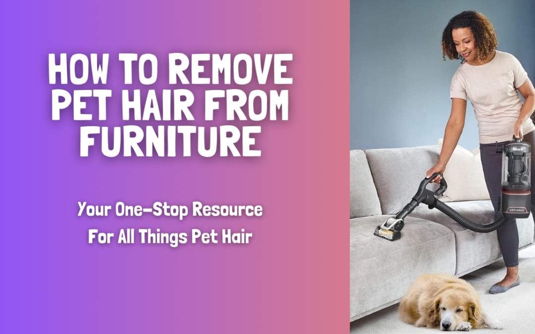 How-To-Remove-Pet-Hair-From-Furniture