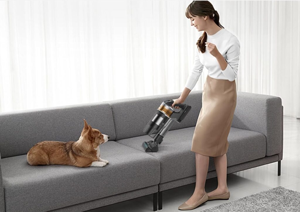 How-To-Remove-Pet-Hair-From-Furniture