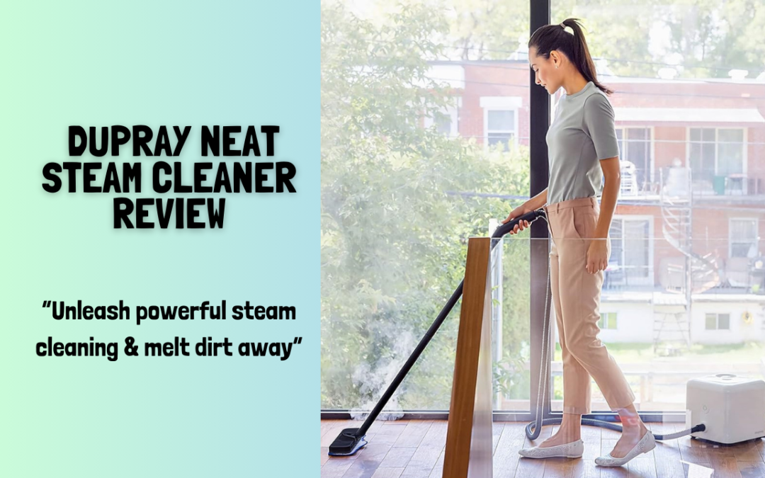 Quick Review Of The Dupray Neat Steam Cleaner