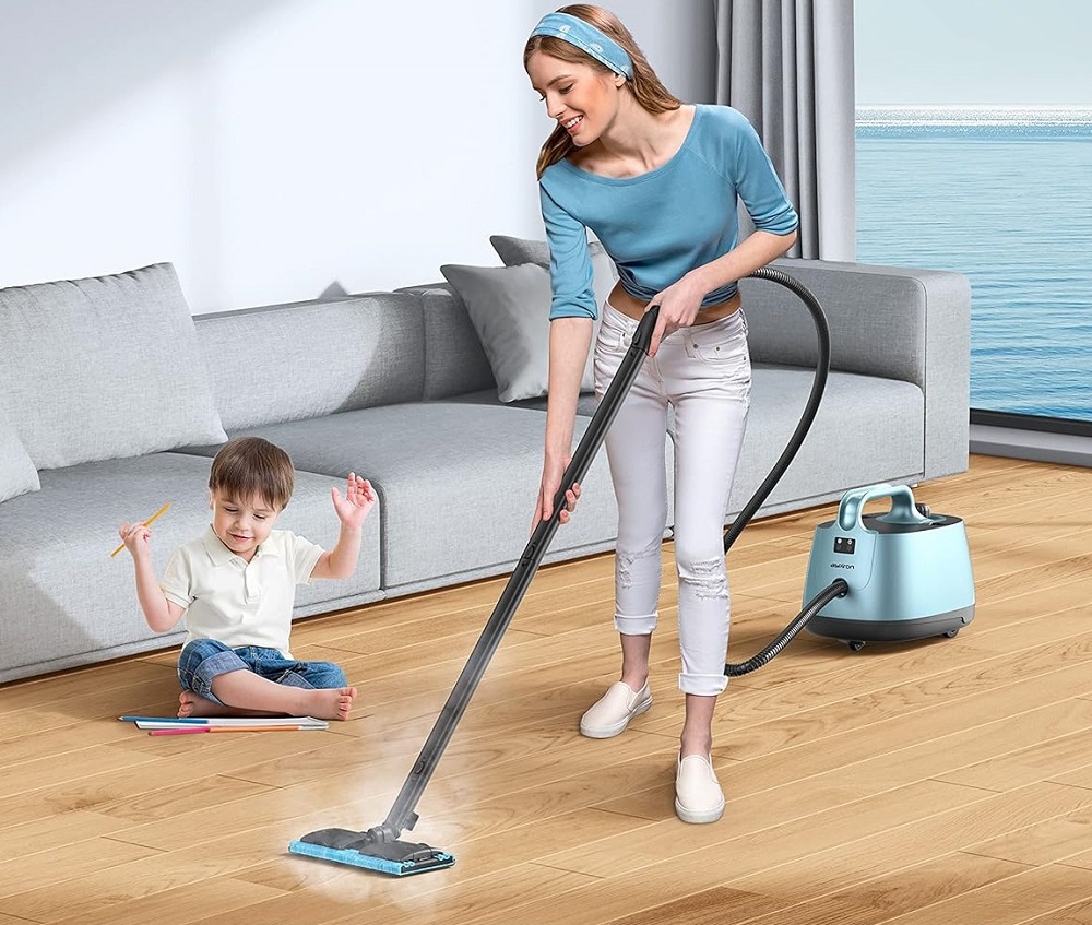 Best-Canister-Steam-Cleaners