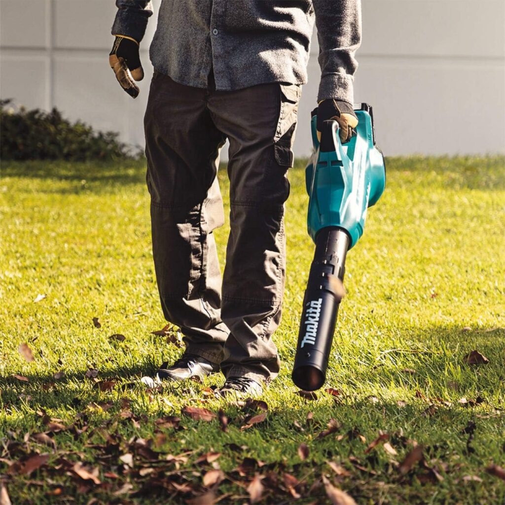 The-Best-Cordless-Leaf-Blowers