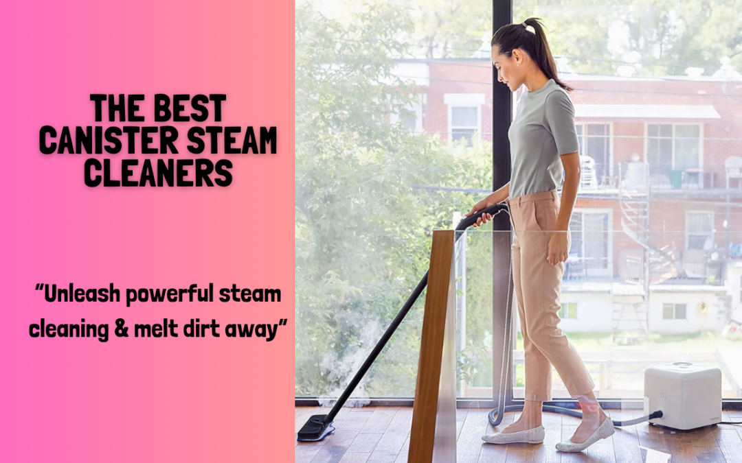 The Best Canister Steam Cleaners for 2024