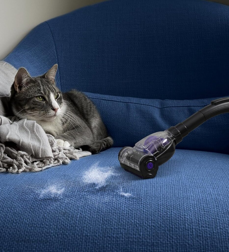 Aspiron-Canister-Vacuum-CA033