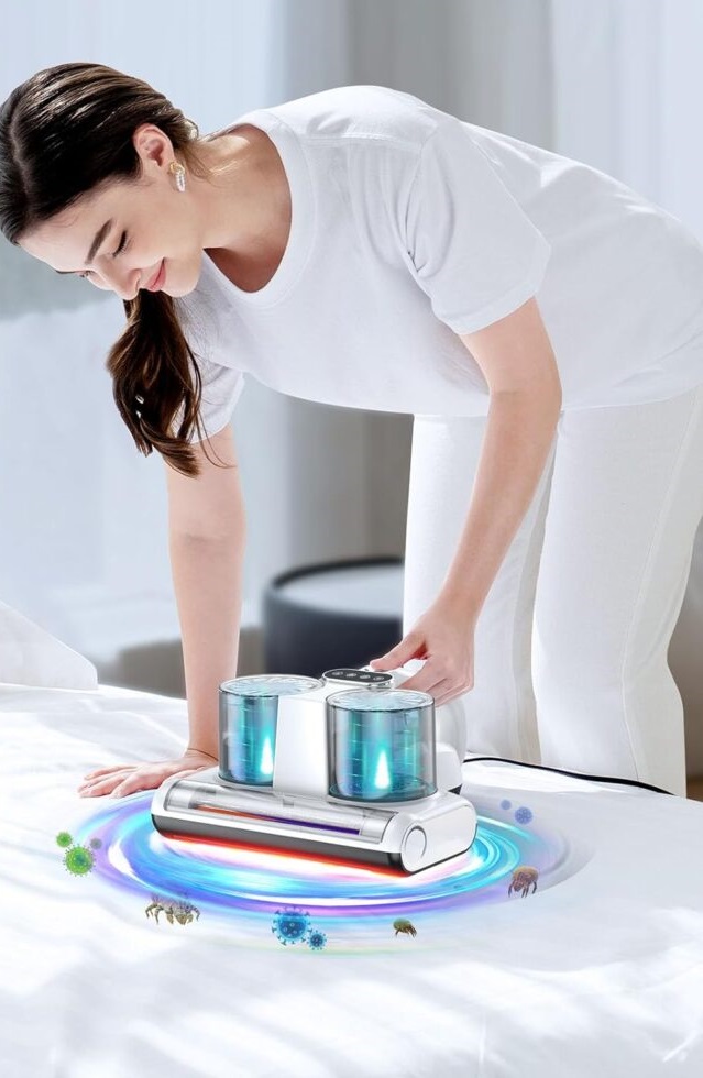 How-To-Get-Rid-Of-Bed-Bugs-From-a-Mattress