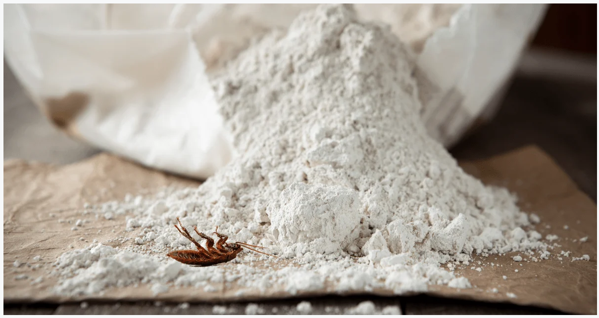 How-To-Get-Rid-Of-Bed-Bugs-From-a-Mattress