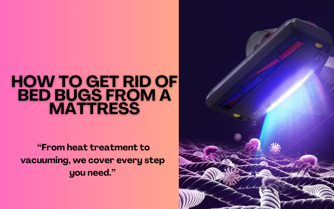 How-To-Get-Rid-Of-Bed-Bugs-From-a-Mattress