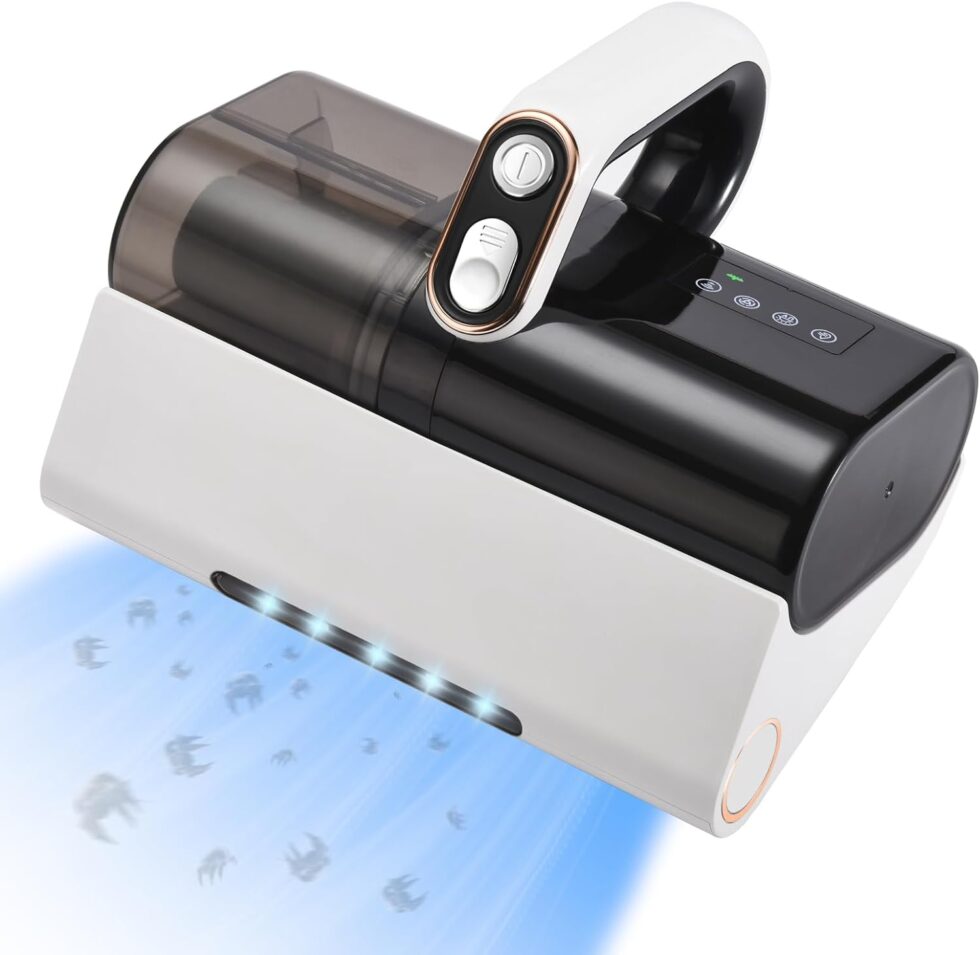 How-To-Get-Rid-Of-Bed-Bugs-From-a-Mattress