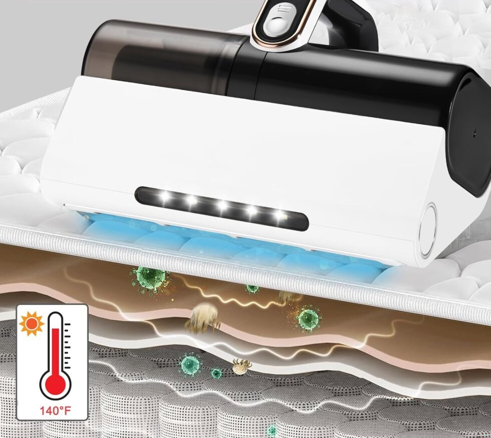 How-To-Get-Rid-Of-Bed-Bugs-From-a-Mattress