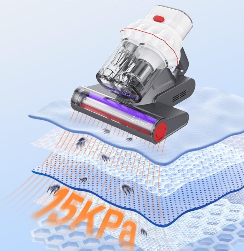 How-To-Get-Rid-Of-Bed-Bugs-From-a-Mattress