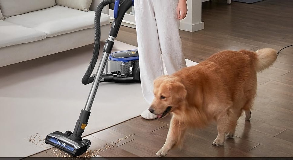 Eureka-Bagless-Canister-Vacuum-NEN186BL-Review