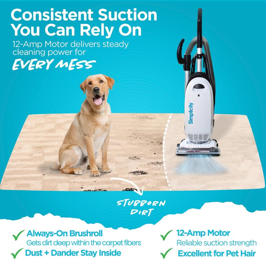 Simplicity-S20EZM-Allergy-Bagged-Vacuum-Review