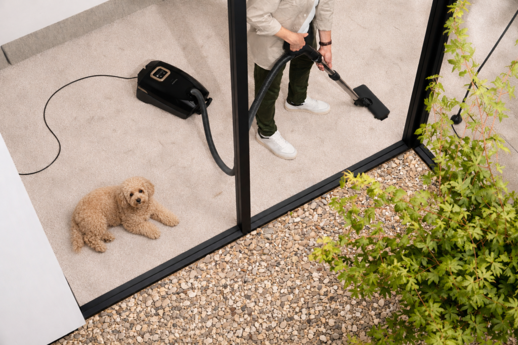 The-Best-Vacuums-for-Pet-Hair-on-Carpet