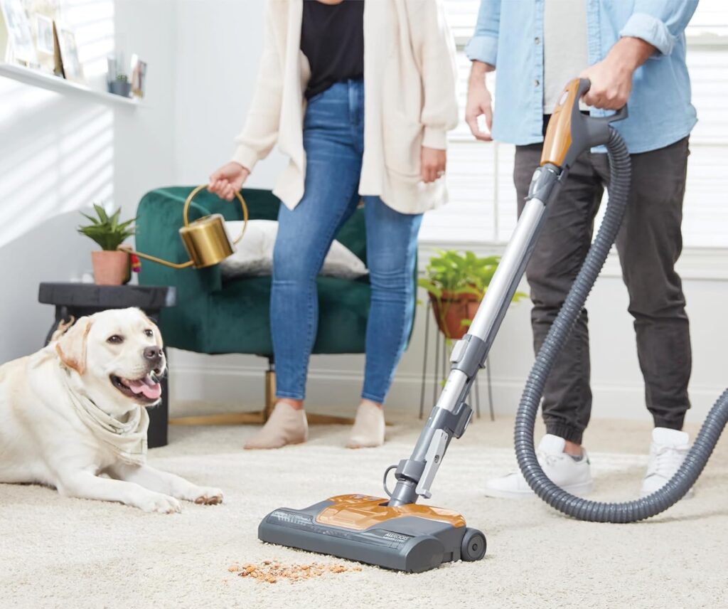 The-Best-Bagged-Vacuums-For-High-Pile-Carpet