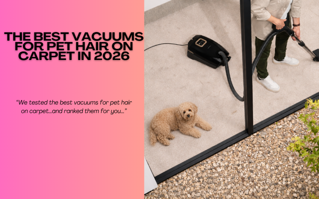 The-Best-Vacuums-for-Pet-Hair-on-Carpet