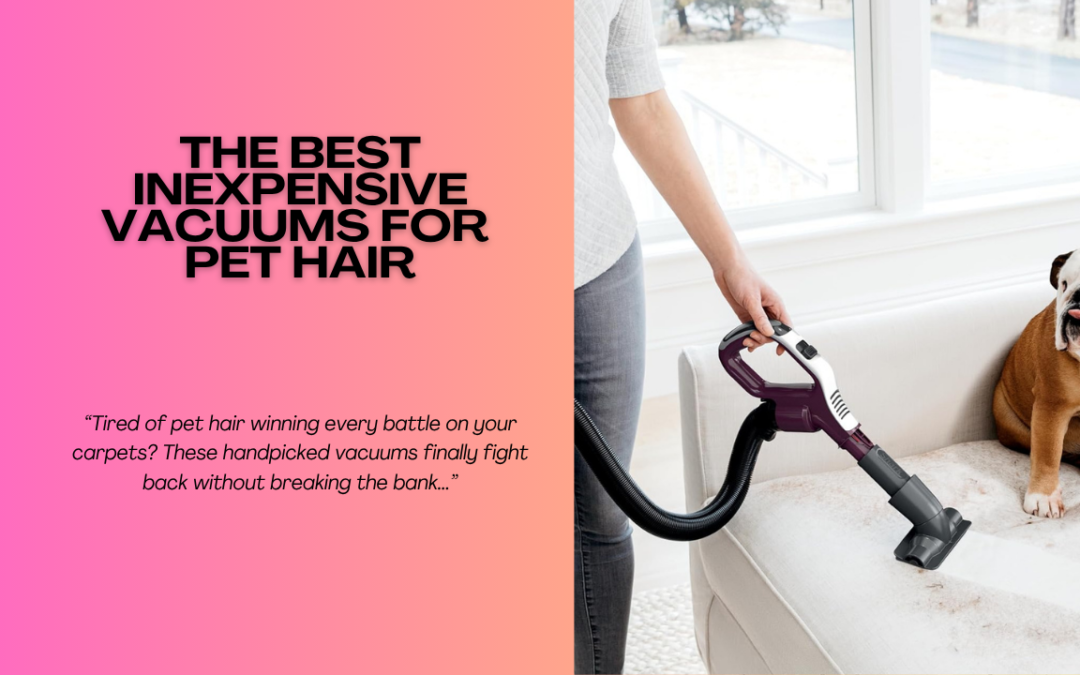 Best-Inexpensive-Vacuums-for-Pet-Hair